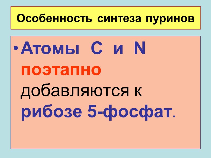 Особенность синтеза пуринов Атомы  С  и  N поэтапно добавляются к рибозе